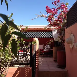 Alena Marrakesh